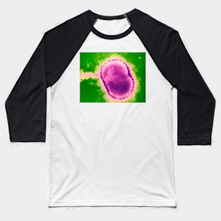 Neisseria meningitidis bacterium (B220/0582) Baseball T-Shirt